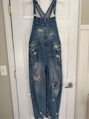 We The Free Distressed Overalls